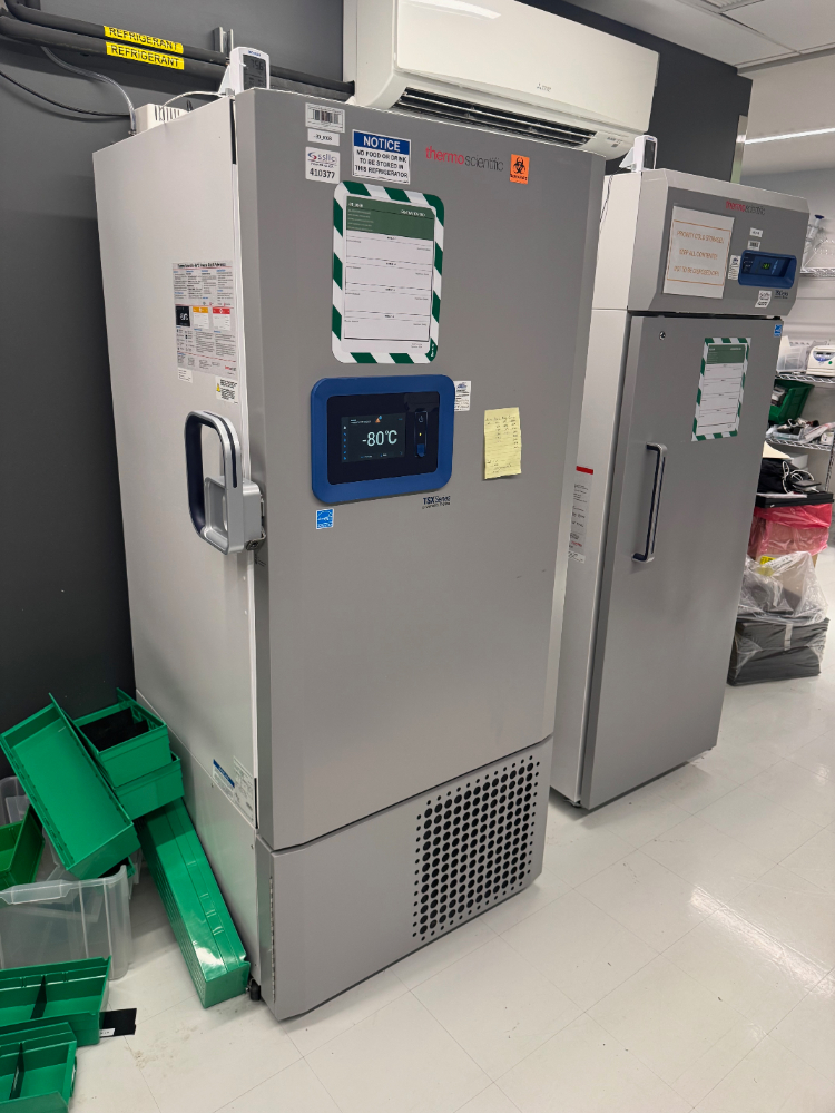Image of Thermo TSX Series -80C Ultra Low Temp Freezer